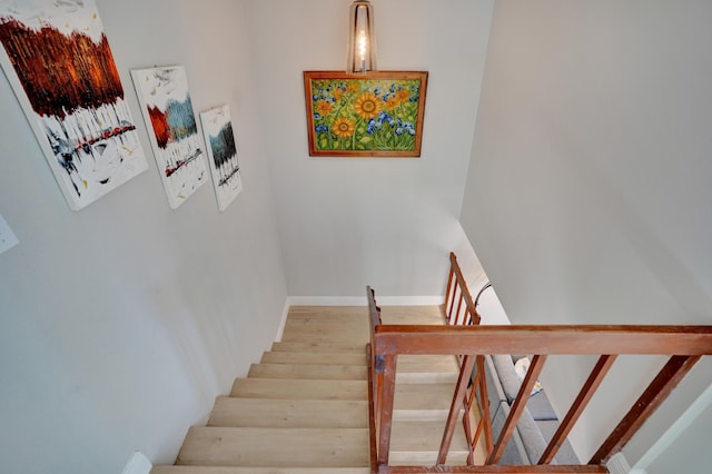 staircase with hardwood / wood-style floors