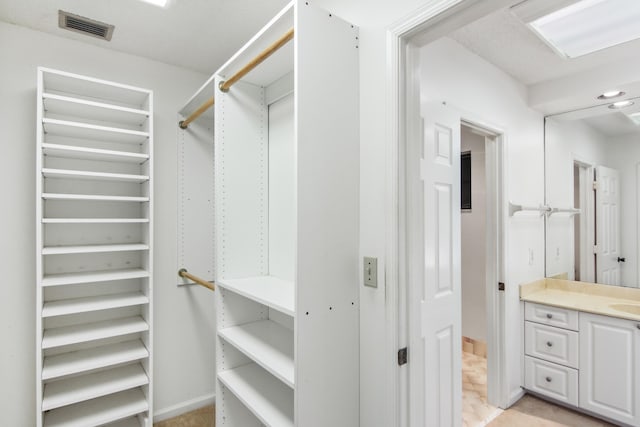 view of spacious closet