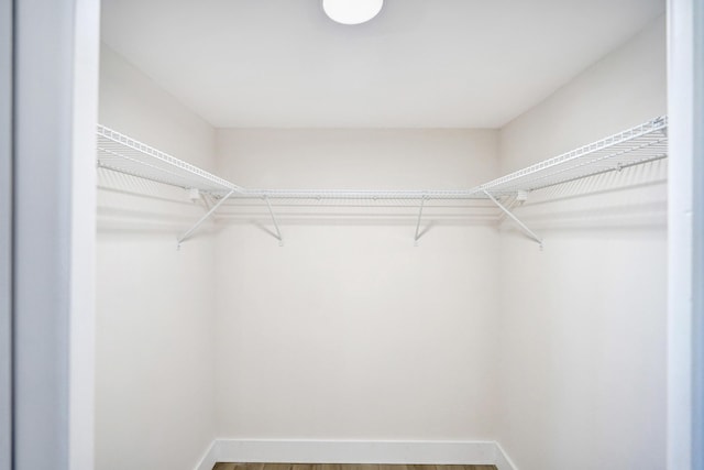 walk in closet featuring wood finished floors