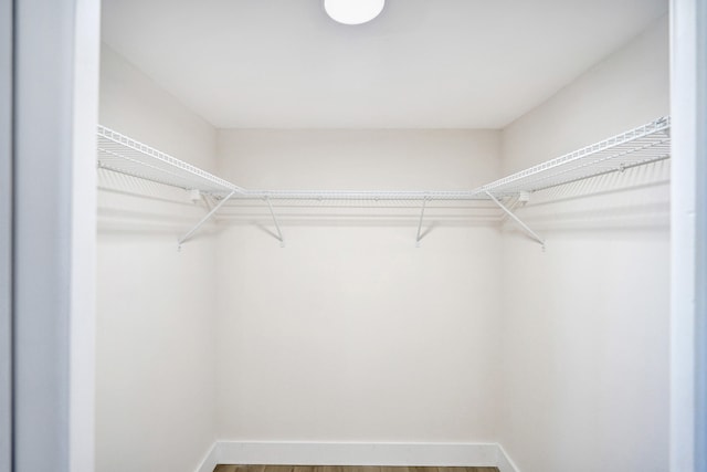 walk in closet featuring hardwood / wood-style flooring