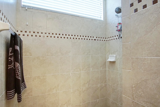 interior space with tiled shower