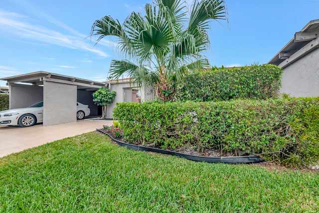 view of yard featuring a carport