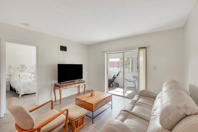 living room with a textured ceiling and light hardwood / wood-style flooring