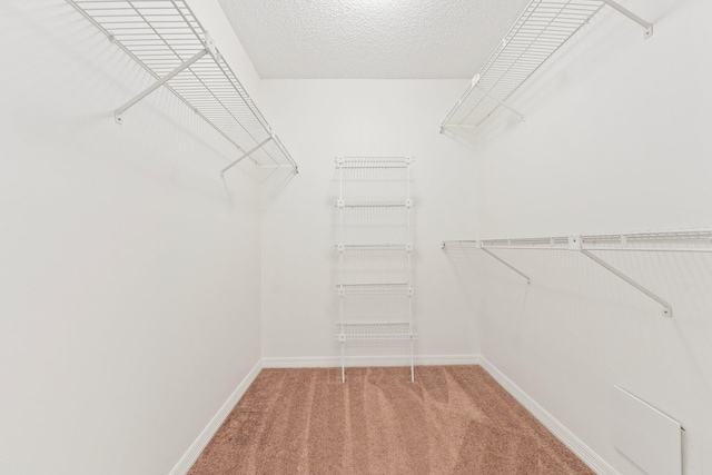 spacious closet with carpet floors