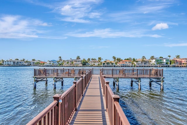 dock area with a water view