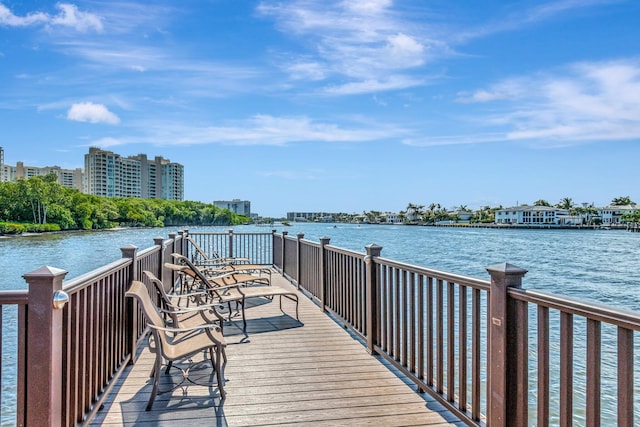 dock area with a water view