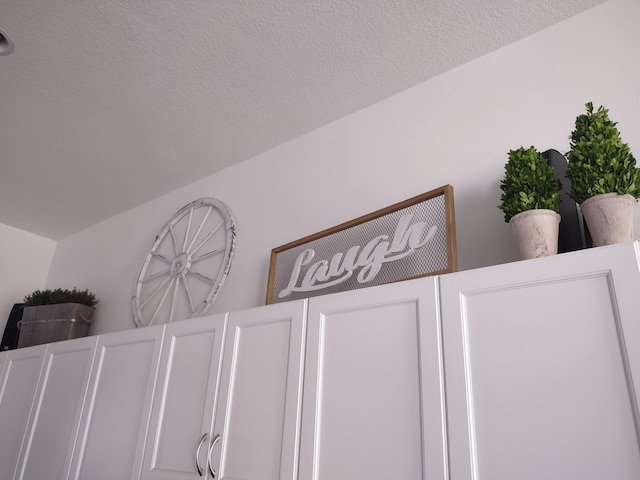 interior details with a textured ceiling