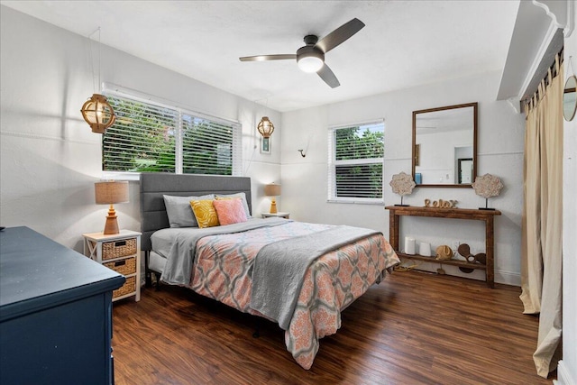 bedroom with multiple windows, dark hardwood / wood-style floors, and ceiling fan