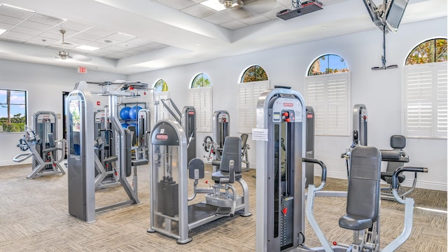 exercise room with a raised ceiling, light colored carpet, and a drop ceiling