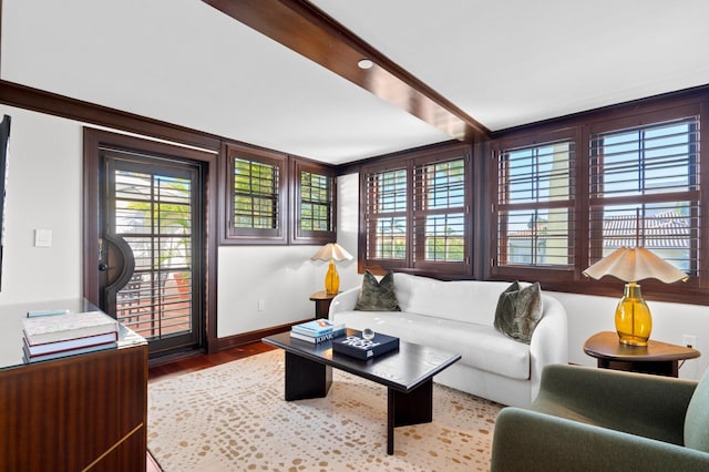 living room with hardwood / wood-style flooring