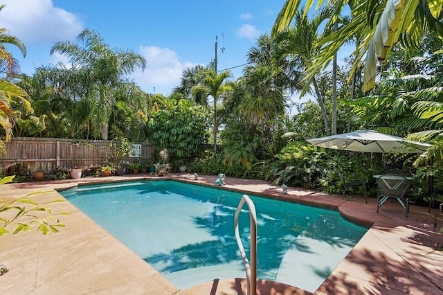 view of swimming pool