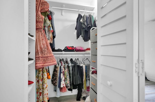 walk in closet featuring wood-type flooring