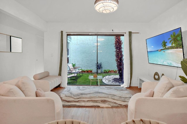 living room featuring hardwood / wood-style floors