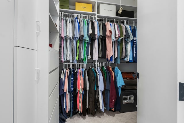 view of closet