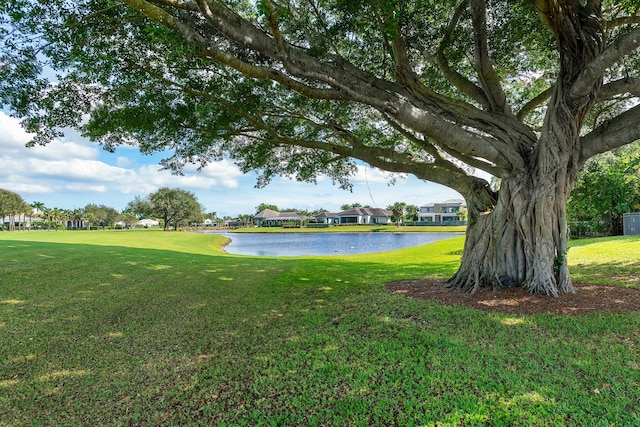 view of yard featuring a water view