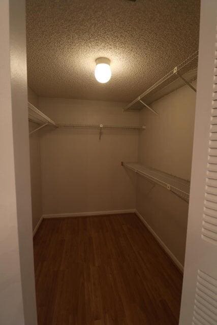 walk in closet with dark wood-type flooring