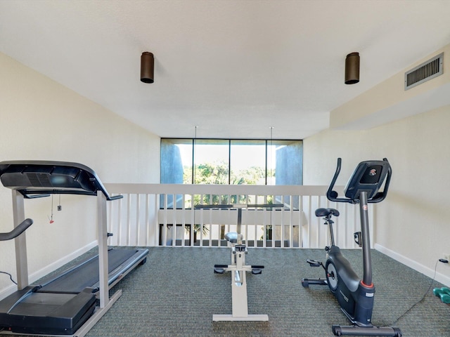 exercise area featuring carpet floors