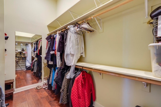 spacious closet with dark hardwood / wood-style flooring