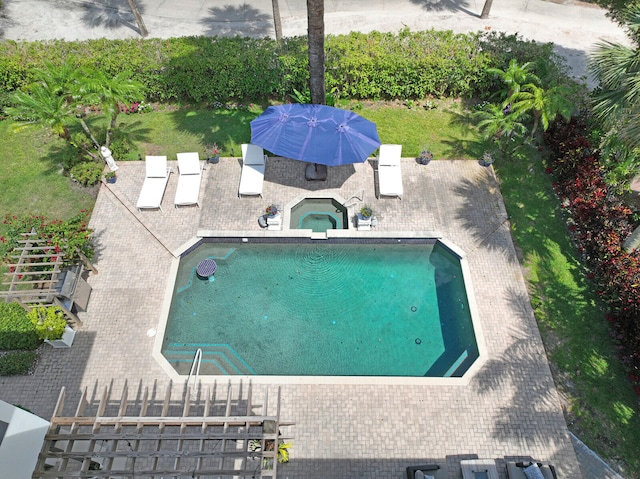 view of pool with a patio