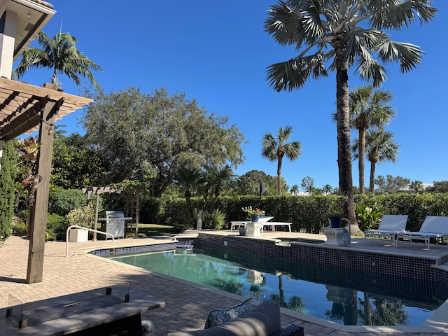 view of swimming pool featuring a pergola, a patio, and a grill