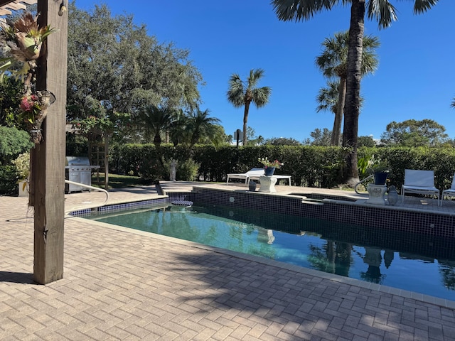 view of swimming pool with a patio