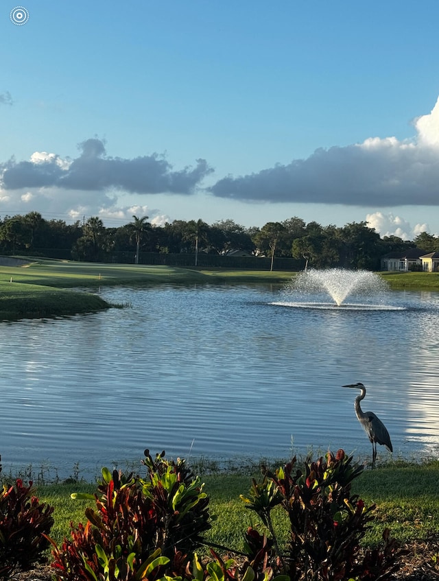 view of water feature