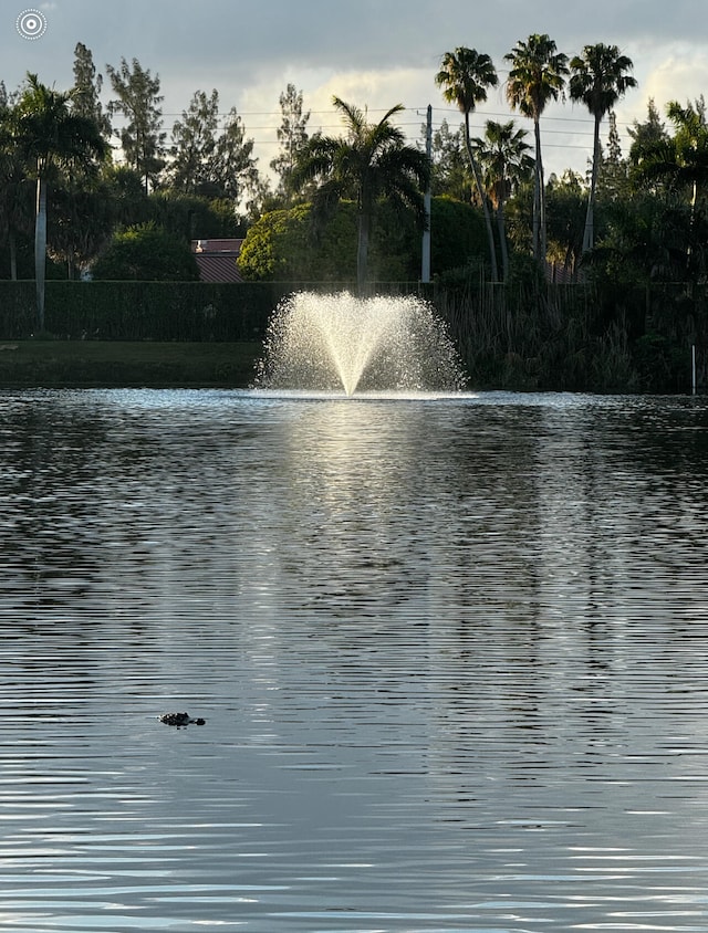 property view of water