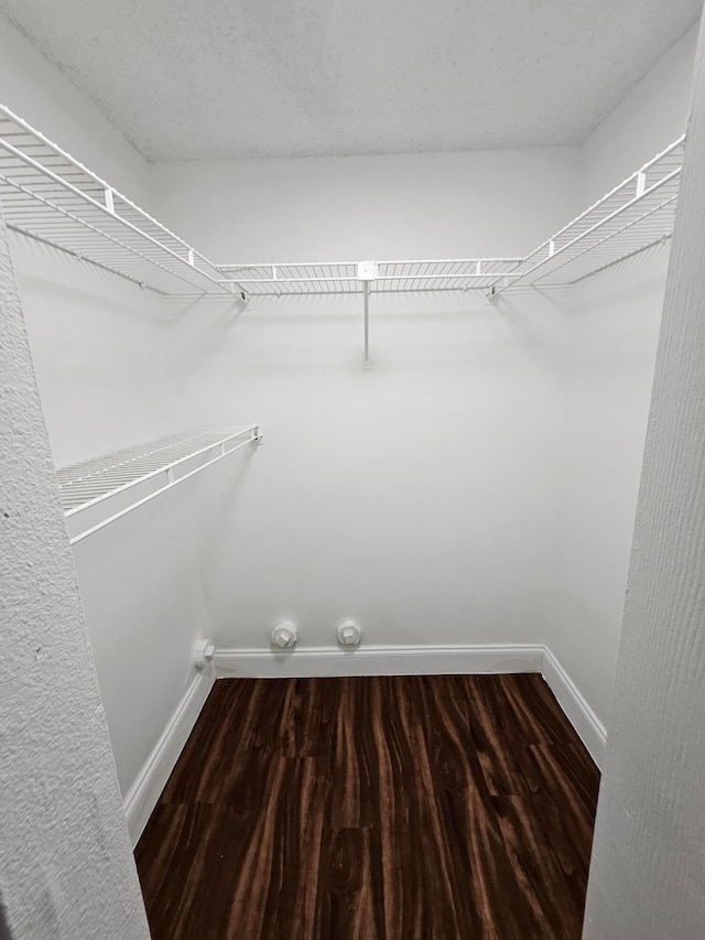 walk in closet with hardwood / wood-style floors