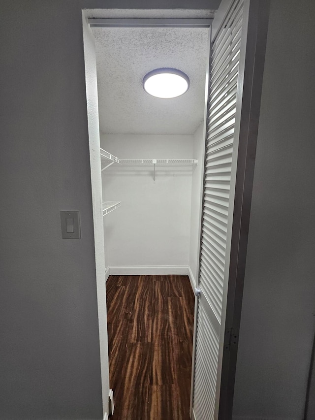 spacious closet with wood-type flooring