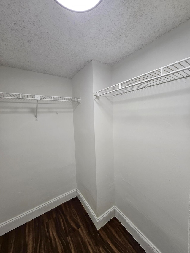 walk in closet featuring dark wood-type flooring