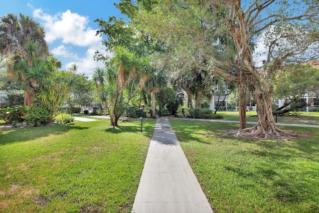 surrounding community featuring a yard