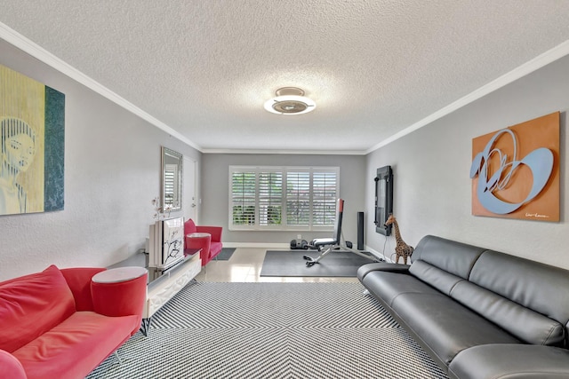 living room featuring a textured ceiling and crown molding