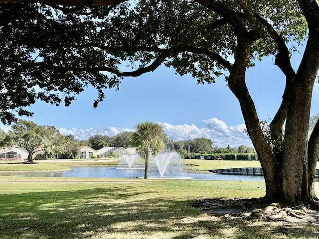 view of property's community featuring a water view and a lawn