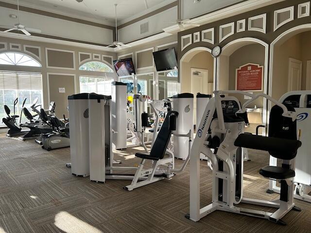 exercise room featuring carpet floors, ceiling fan, a high ceiling, and ornamental molding