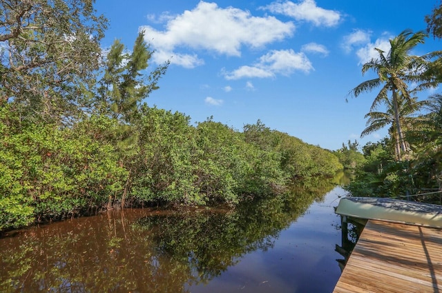 dock area with a water view