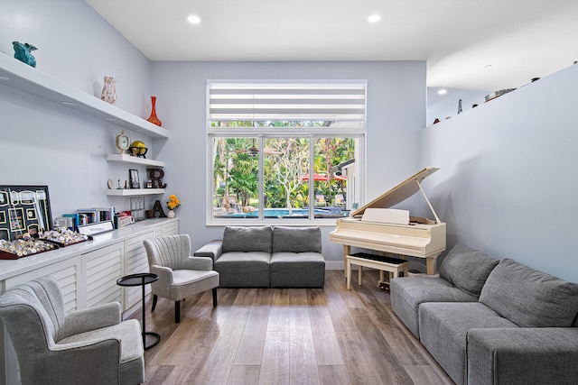 living room featuring wood-type flooring