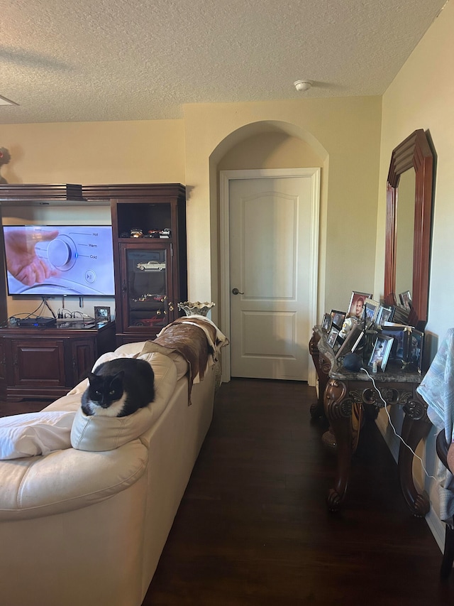 living room featuring dark hardwood / wood-style flooring and a textured ceiling