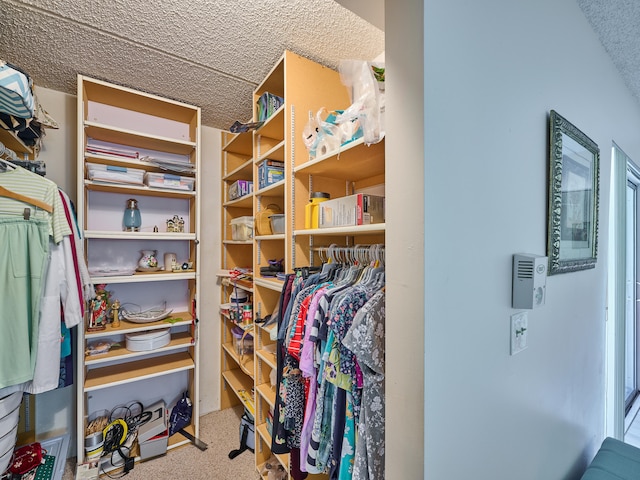 spacious closet with carpet floors