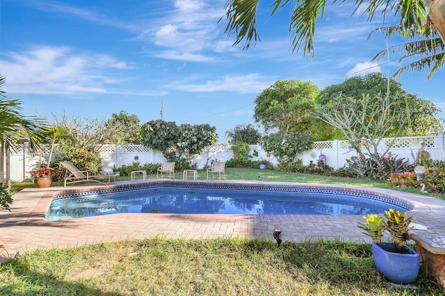 view of swimming pool with a patio