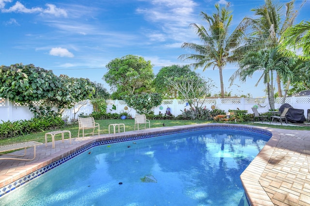 view of pool featuring a patio area