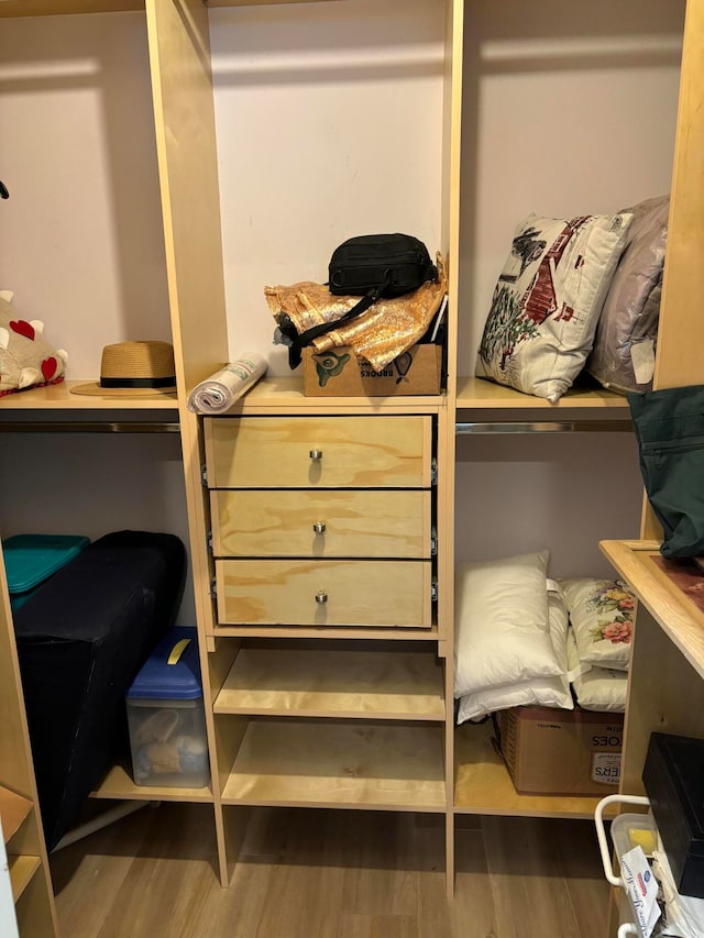 spacious closet with wood-type flooring