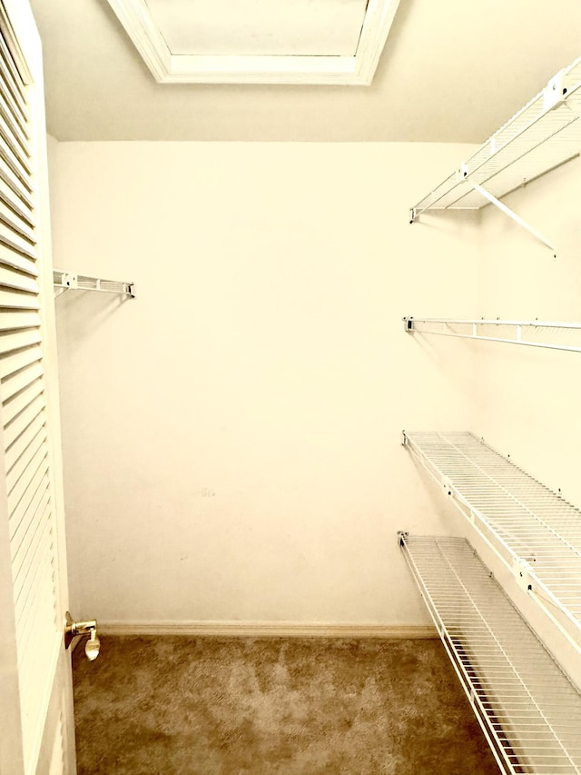 200 SE Four Winds Dr Unit 213, Stuart, FL 34996 - walk in closet with carpet flooring