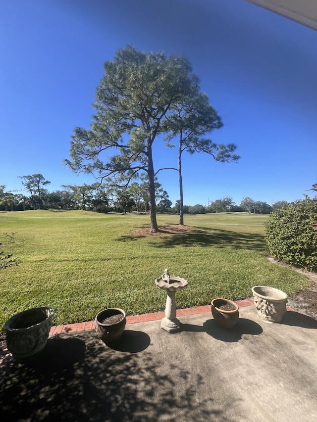 view of yard with a patio