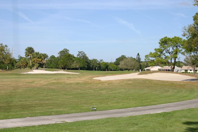 view of community with a yard