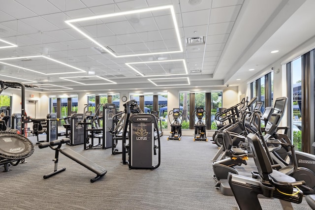 workout area featuring a drop ceiling and light colored carpet