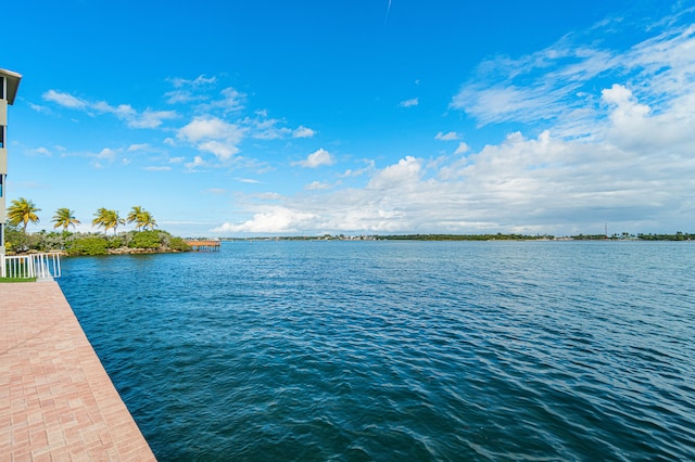 view of water feature