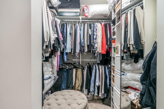 walk in closet featuring carpet