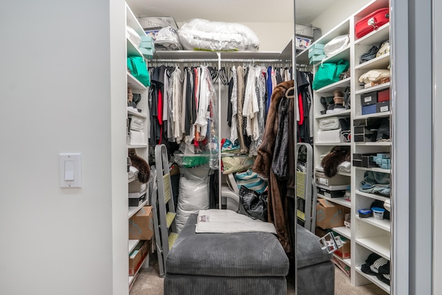 walk in closet with carpet floors