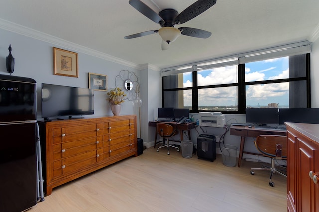 home office featuring ceiling fan, crown molding, and light hardwood / wood-style flooring