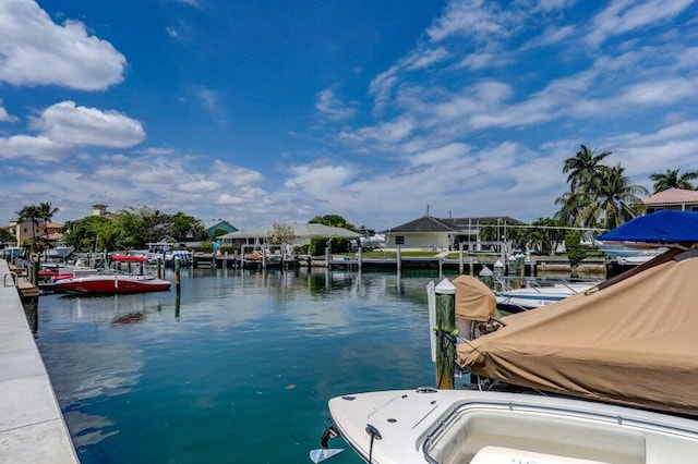 dock area with a water view